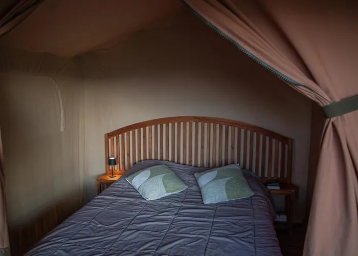 Zecamping 3 Dog Friendly Avec Piscine Dans Un Environnement Calme Campingplads